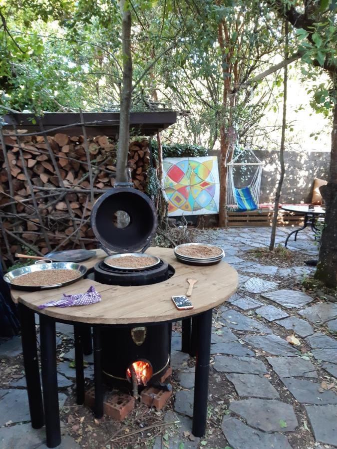 Airesbuenos Hostel Y Permacultura Valdivia Eksteriør bilde