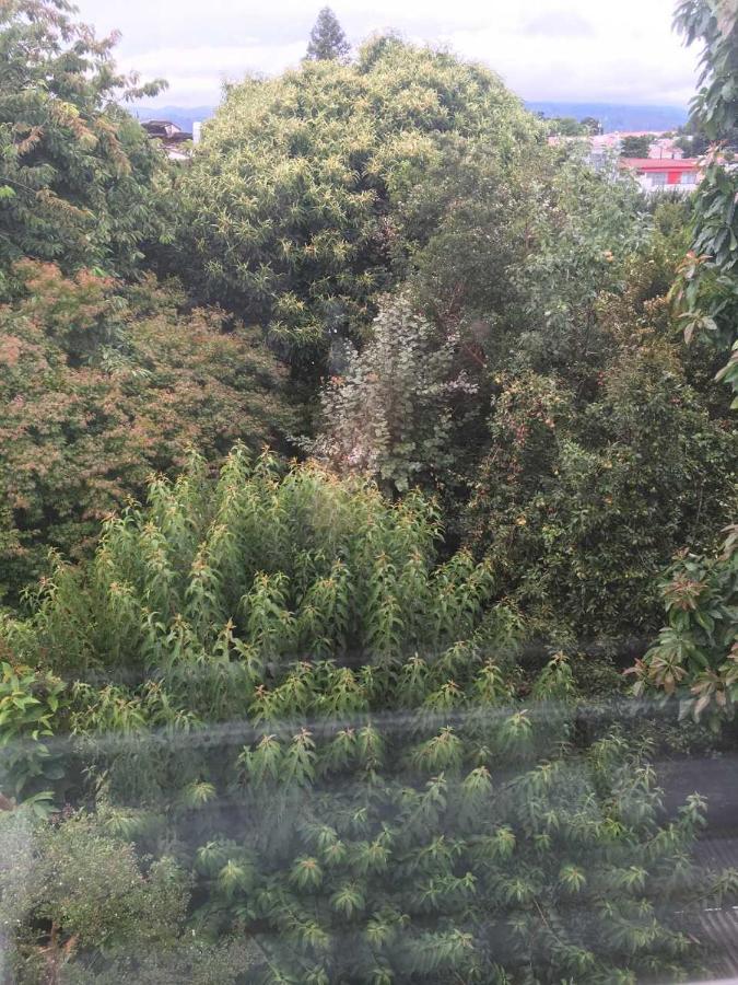 Airesbuenos Hostel Y Permacultura Valdivia Eksteriør bilde
